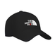 Кепка з принтом "The North Fake" (The North Face) | One Size | Чорний 1054317787-54 фото